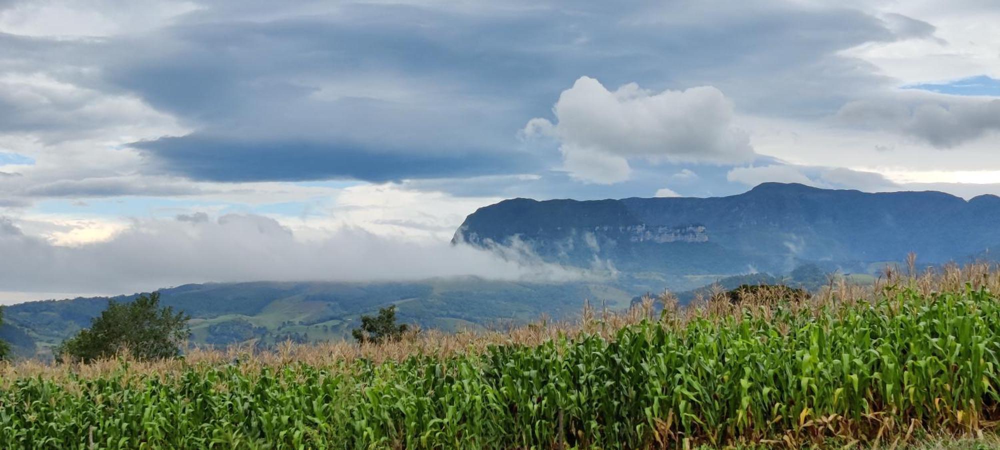 阿尔弗雷多瓦格内尔Refugio Da Montanha Brasil别墅 外观 照片
